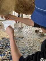 記事画像1 記事画像1