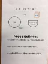 記事画像1 記事画像1