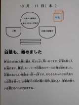 記事画像1 記事画像1