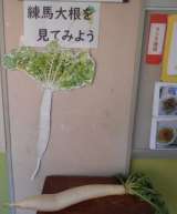 記事画像1 記事画像1