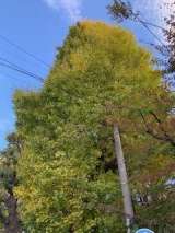 記事画像1 記事画像1