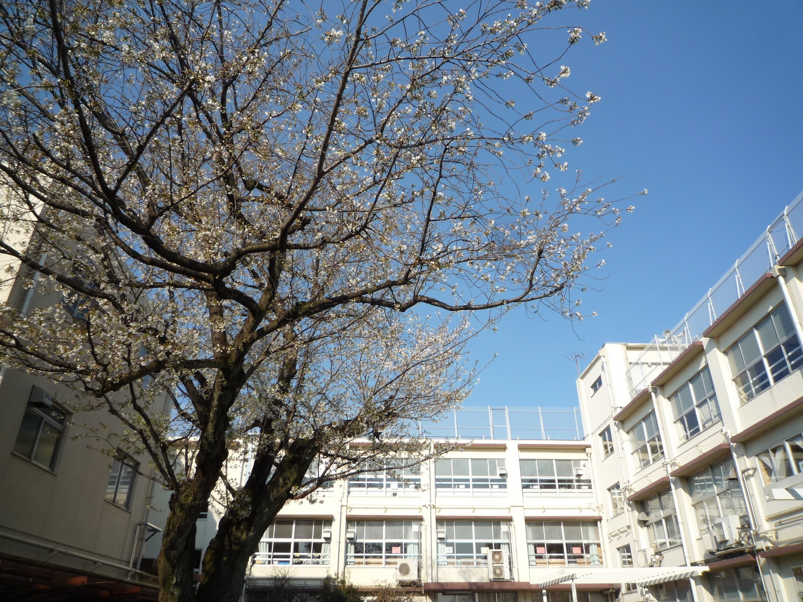 練馬区立開進第二小学校