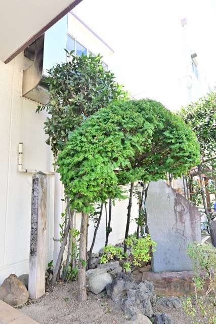 30-2.開校60周年記念石碑.JPG 30-2.開校60周年記念石碑.JPG