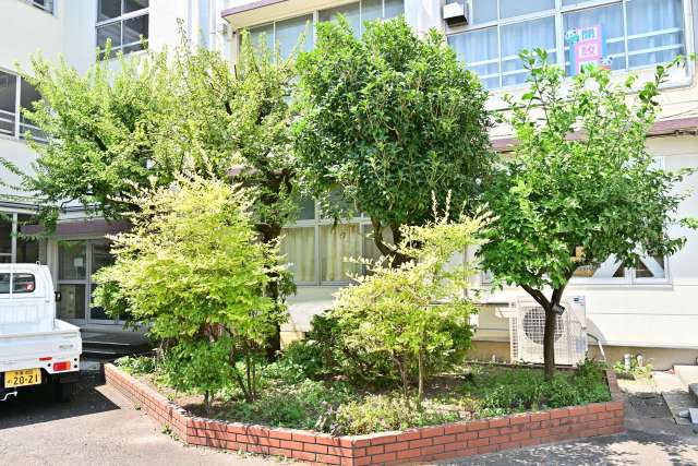 32-2平成記念植樹.JPG 32-2平成記念植樹.JPG