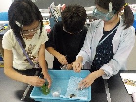 専科3 専科3