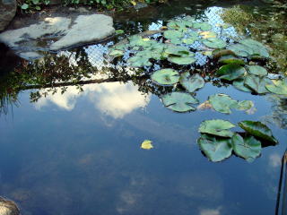 DSC010511.jpg