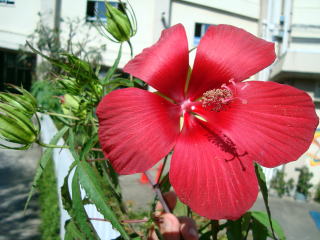 DSC010541.jpg