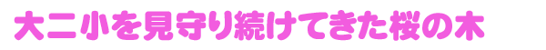 sakura.gif