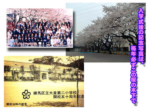 sakura.jpg