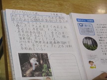 ǯ⸦.jpg