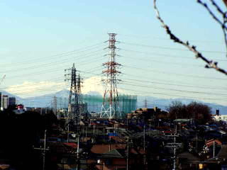 okujo-fuyufuji12.jpg