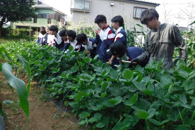 agri250801