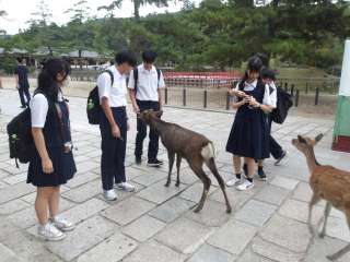 ����ι��2