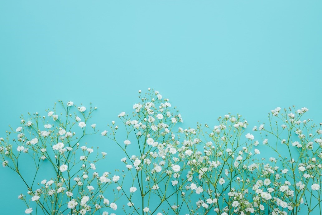 ���ƥåץ��å�8