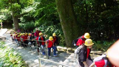 ������