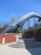 ��������1