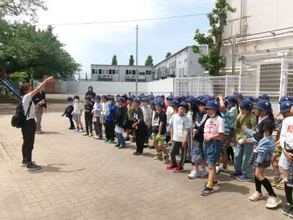 ������