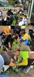 ��������1