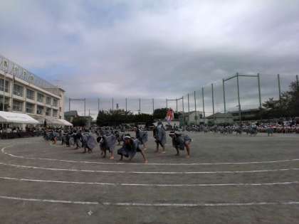 画像1 画像1