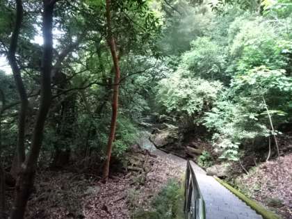 ������