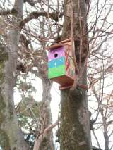 ��������1