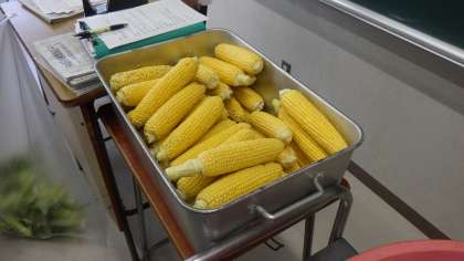 ������