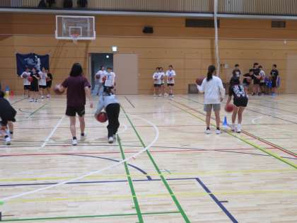 ���ҥХ����åȥܡ�����