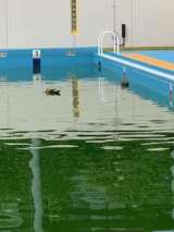 ��������1